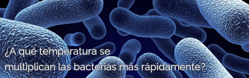 ¿A qué temperatura se multiplican las bacterias más rápidamente?