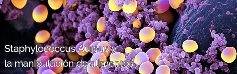 Staphylococcus Aureus y la manipulación de alimentos